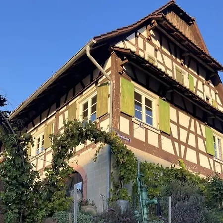 Lejlighed Fewos Weingut Pieper Basler Offenburg