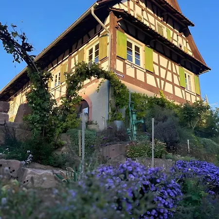 Lejlighed Fewos Weingut Pieper Basler Offenburg