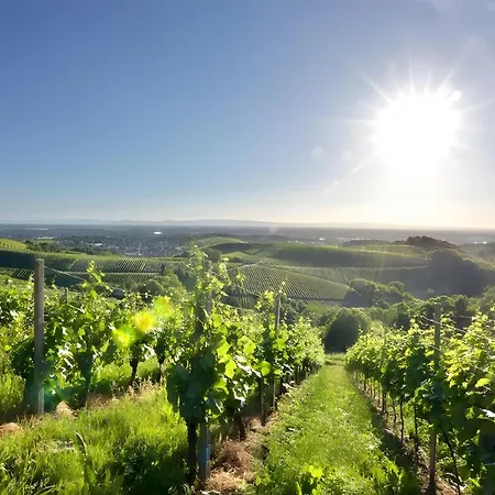 Apartament Fewos Weingut Pieper Basler *